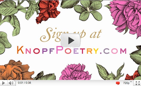 April is Poetry Month - Watch the Video!