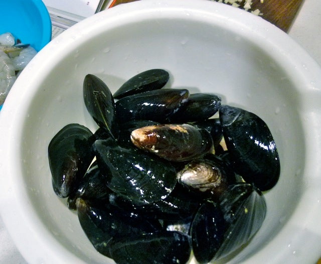 Scrubbed mussels