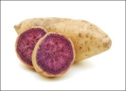 Purple_Sweet_Potato1